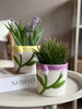 Cache-pot avec tulipe - Plusieurs couleurs