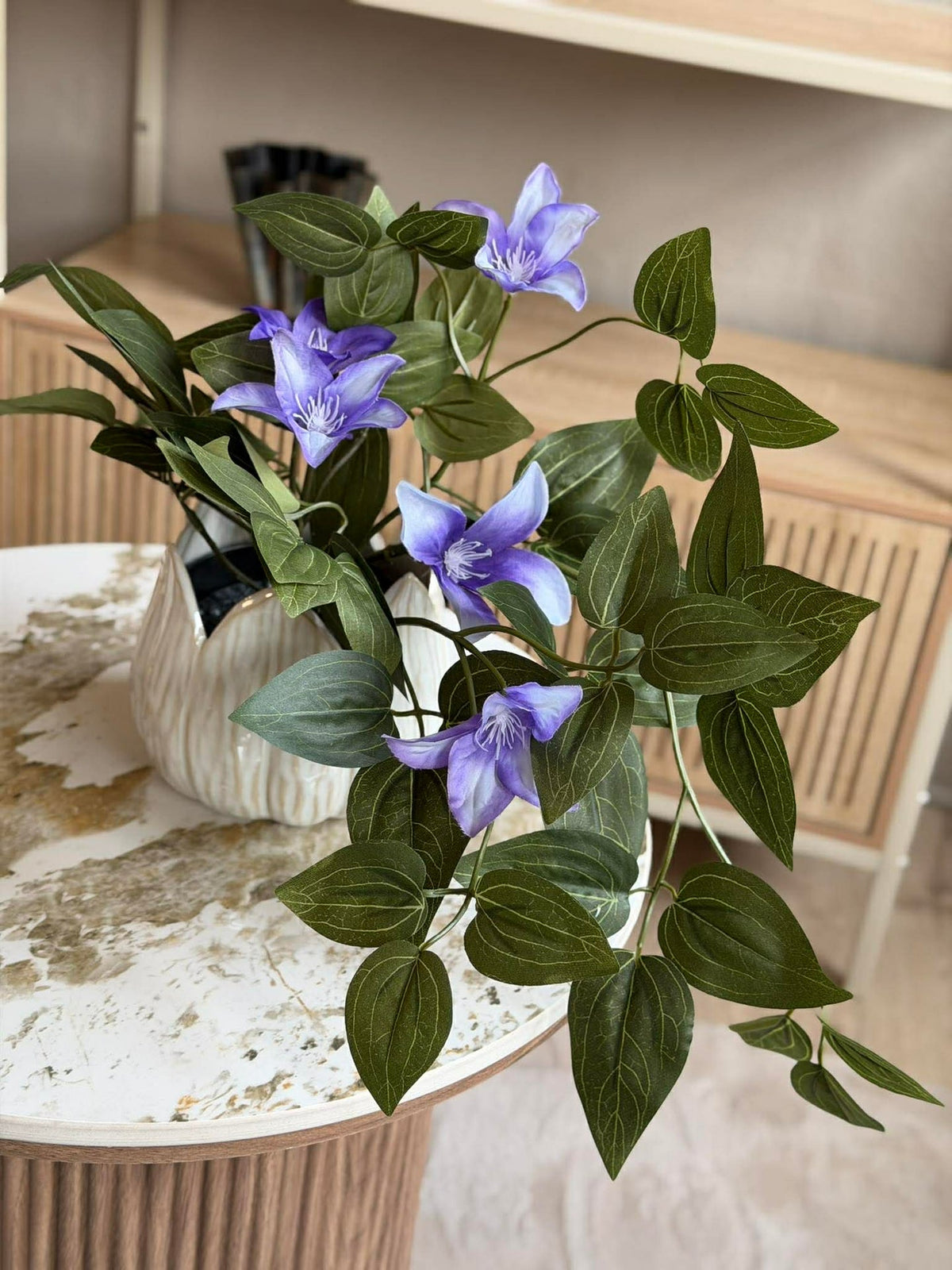 Plante suspendue - plusieurs couleurs