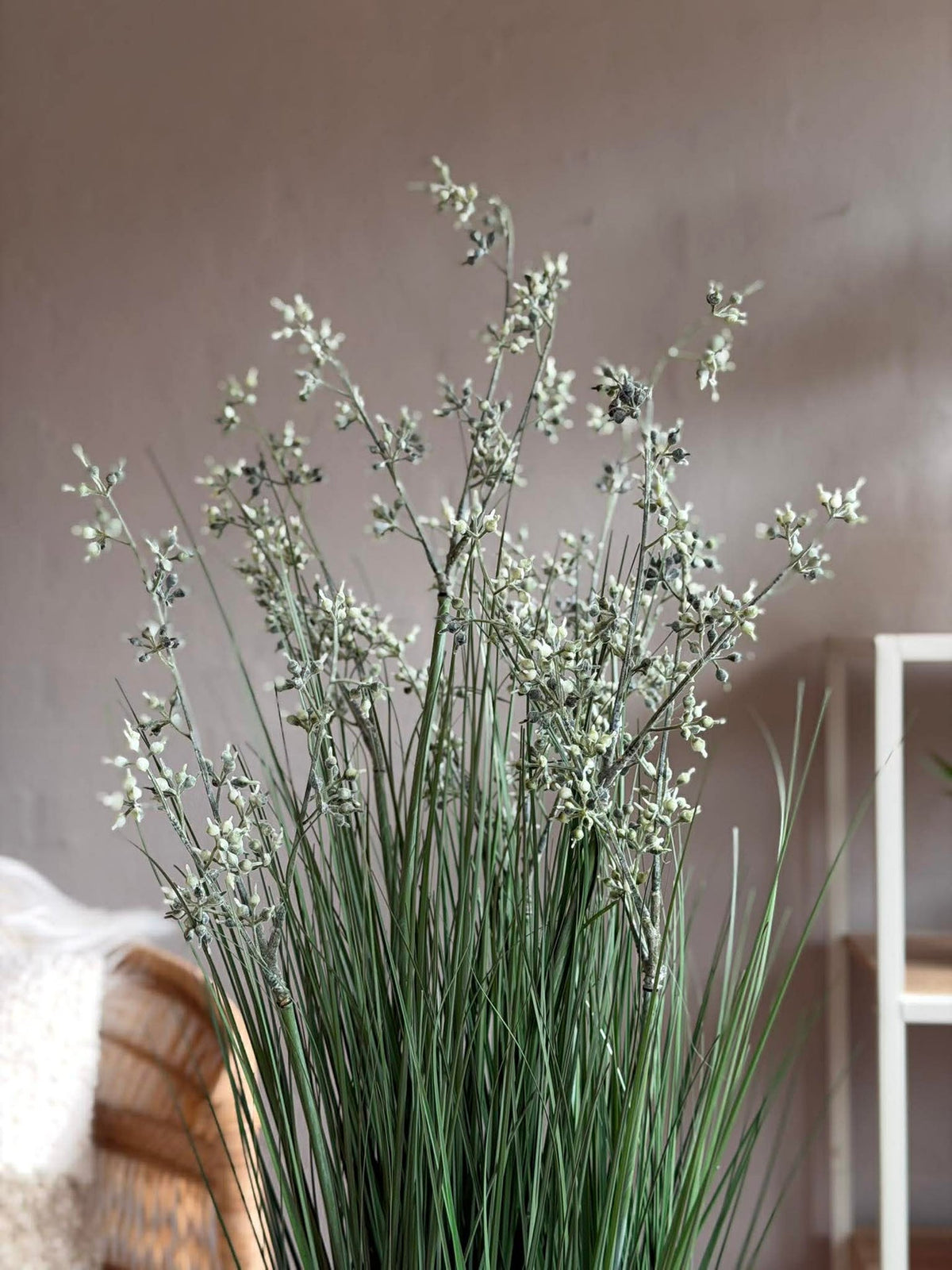 Jasmin en pot pour l’intérieur et l’extérieur - 78 cm