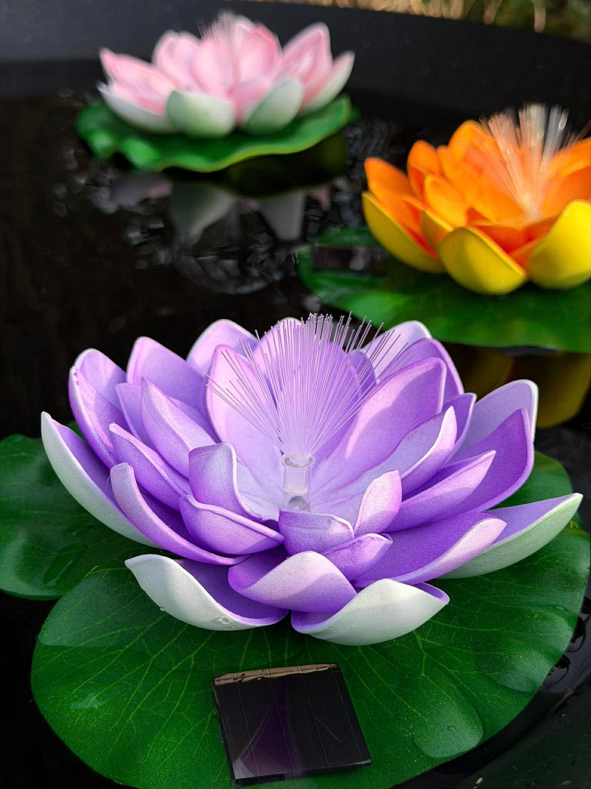Lotus avec solaire - Plusieurs couleurs