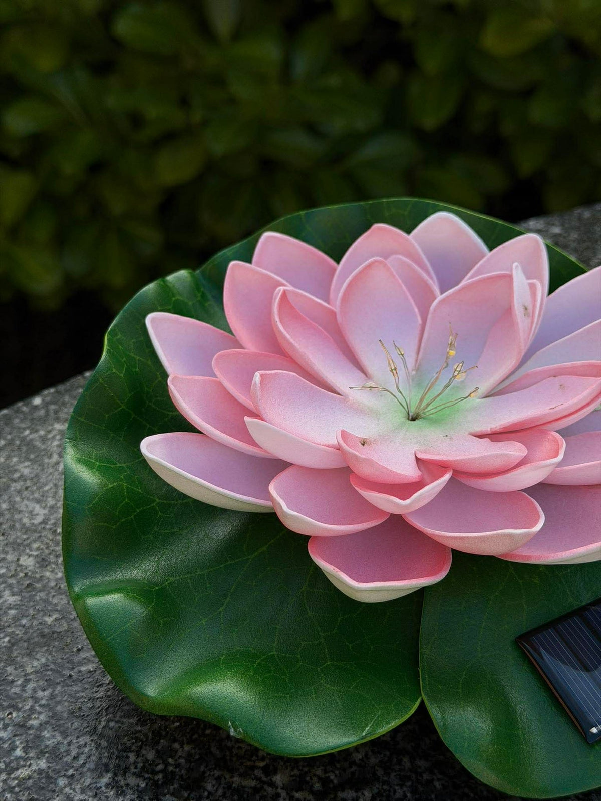 Solcelle LOTUS – Rose