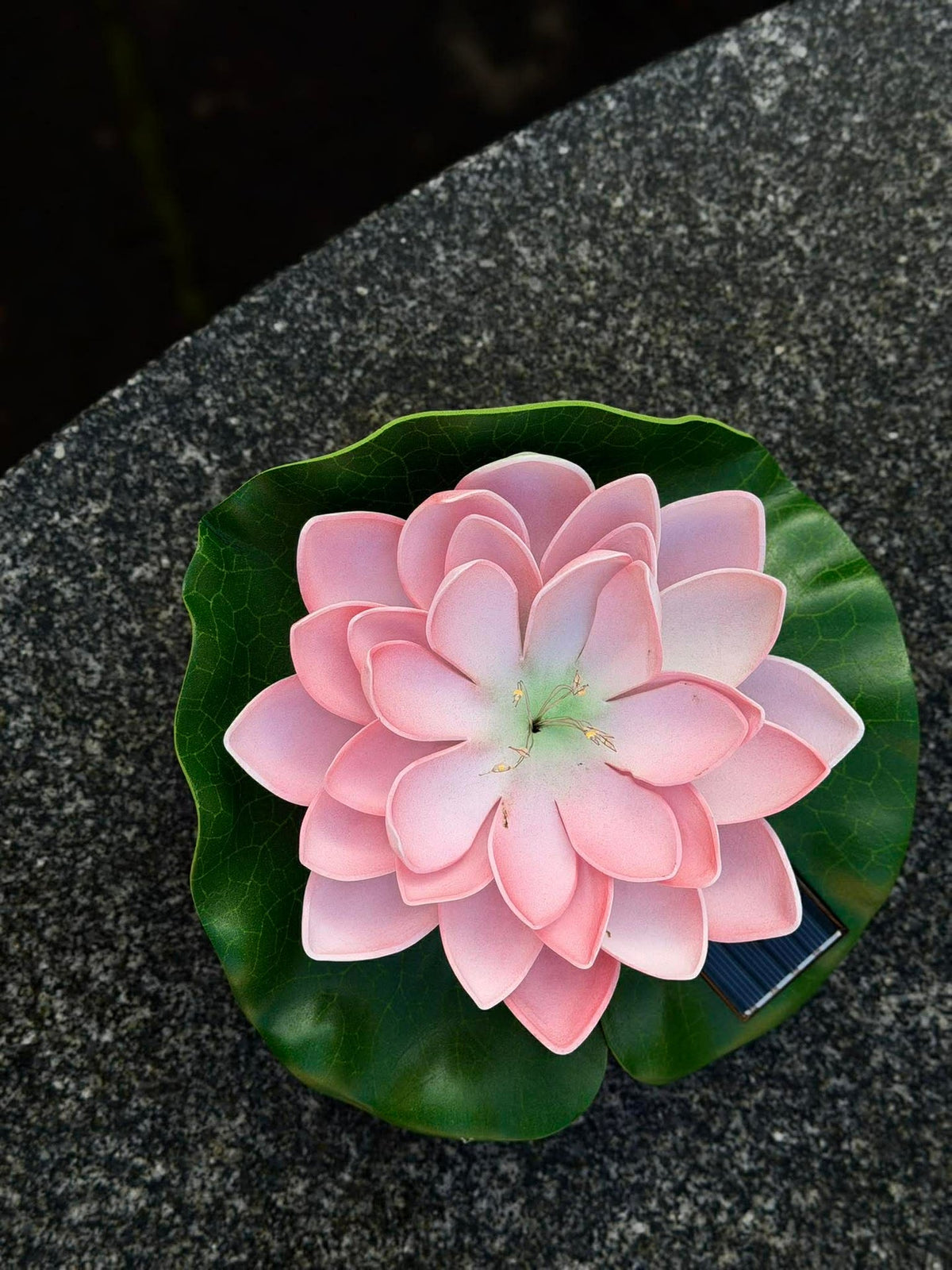 Solcelle LOTUS – Rose