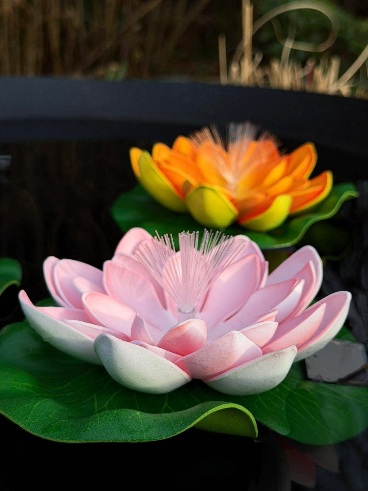 Lotus avec solaire - Plusieurs couleurs