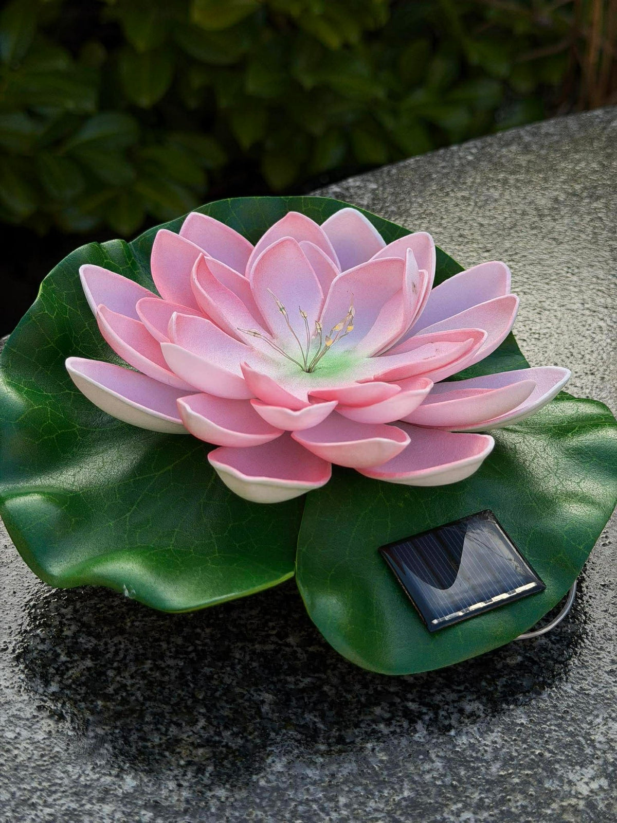 Solcelle LOTUS – Rose
