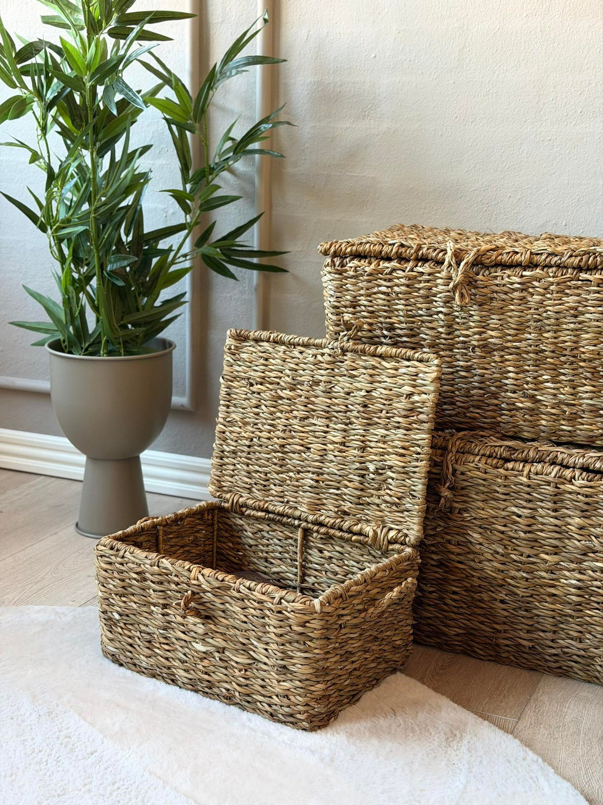 Paniers de rangement avec couvercle - Lot de 3