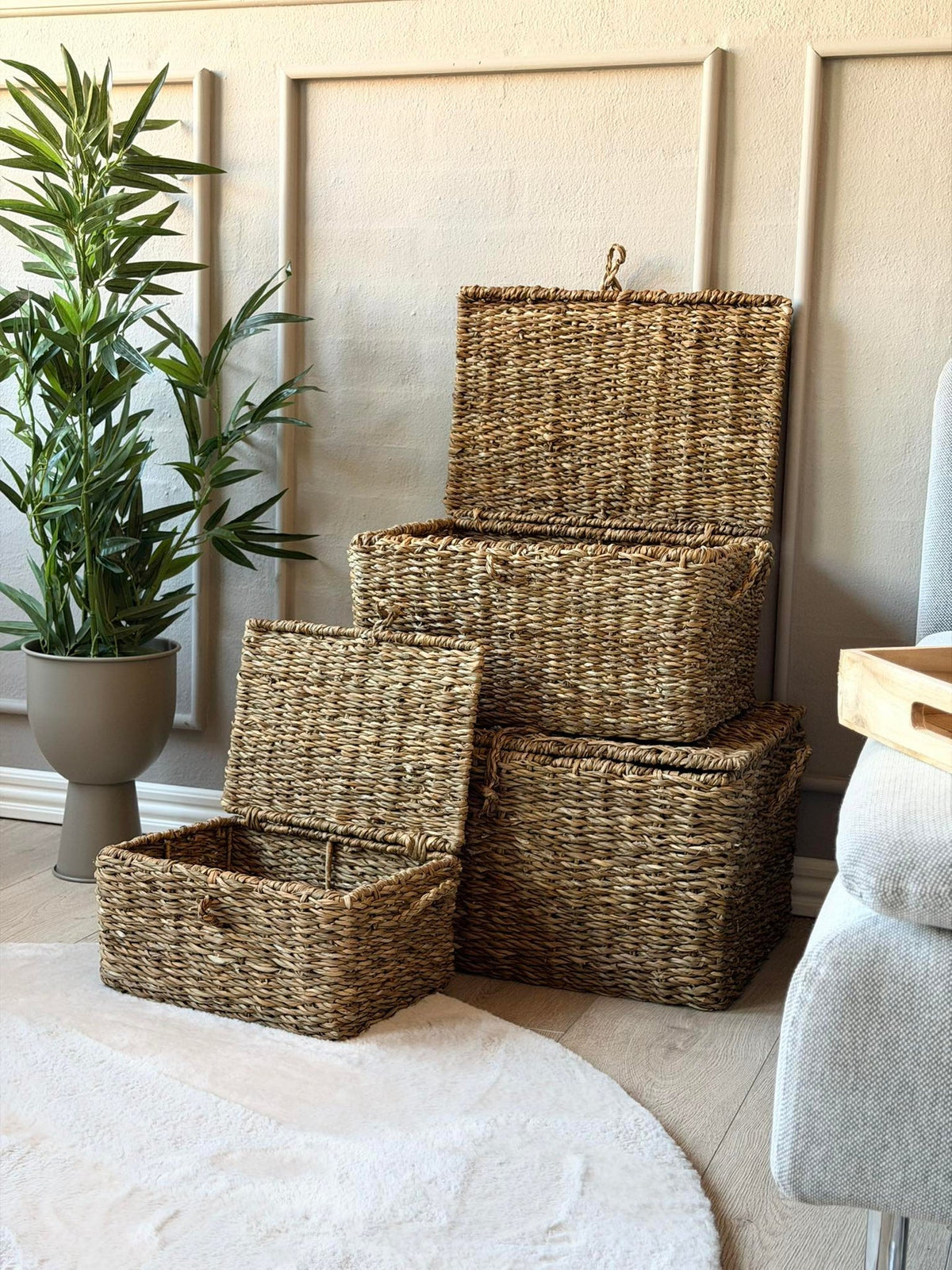 Paniers de rangement avec couvercle - Lot de 3