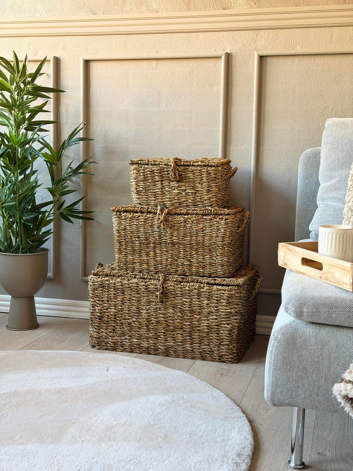 Paniers de rangement avec couvercle - Lot de 3