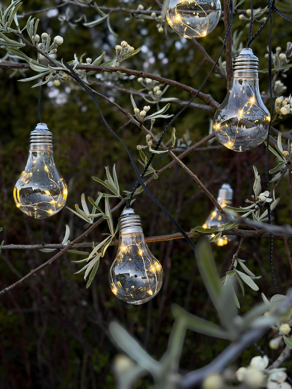 Guirlande lumineuse pour intérieur et extérieur