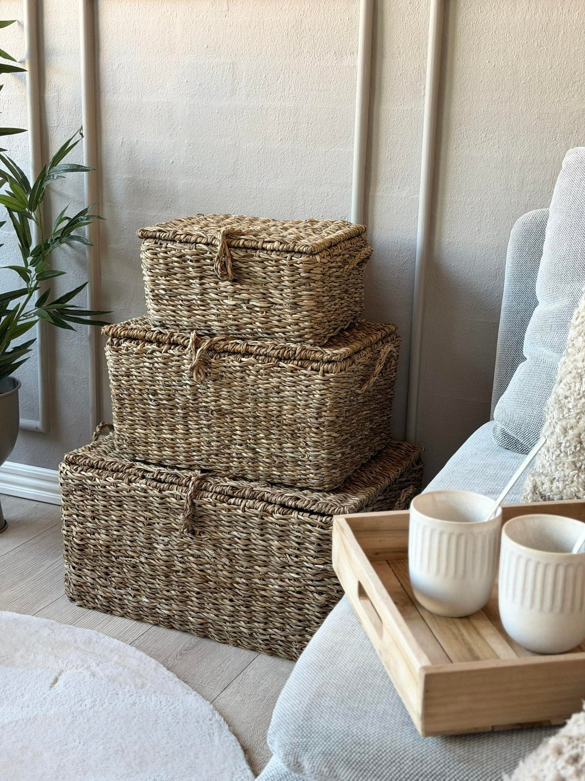 Paniers de rangement avec couvercle - Lot de 3