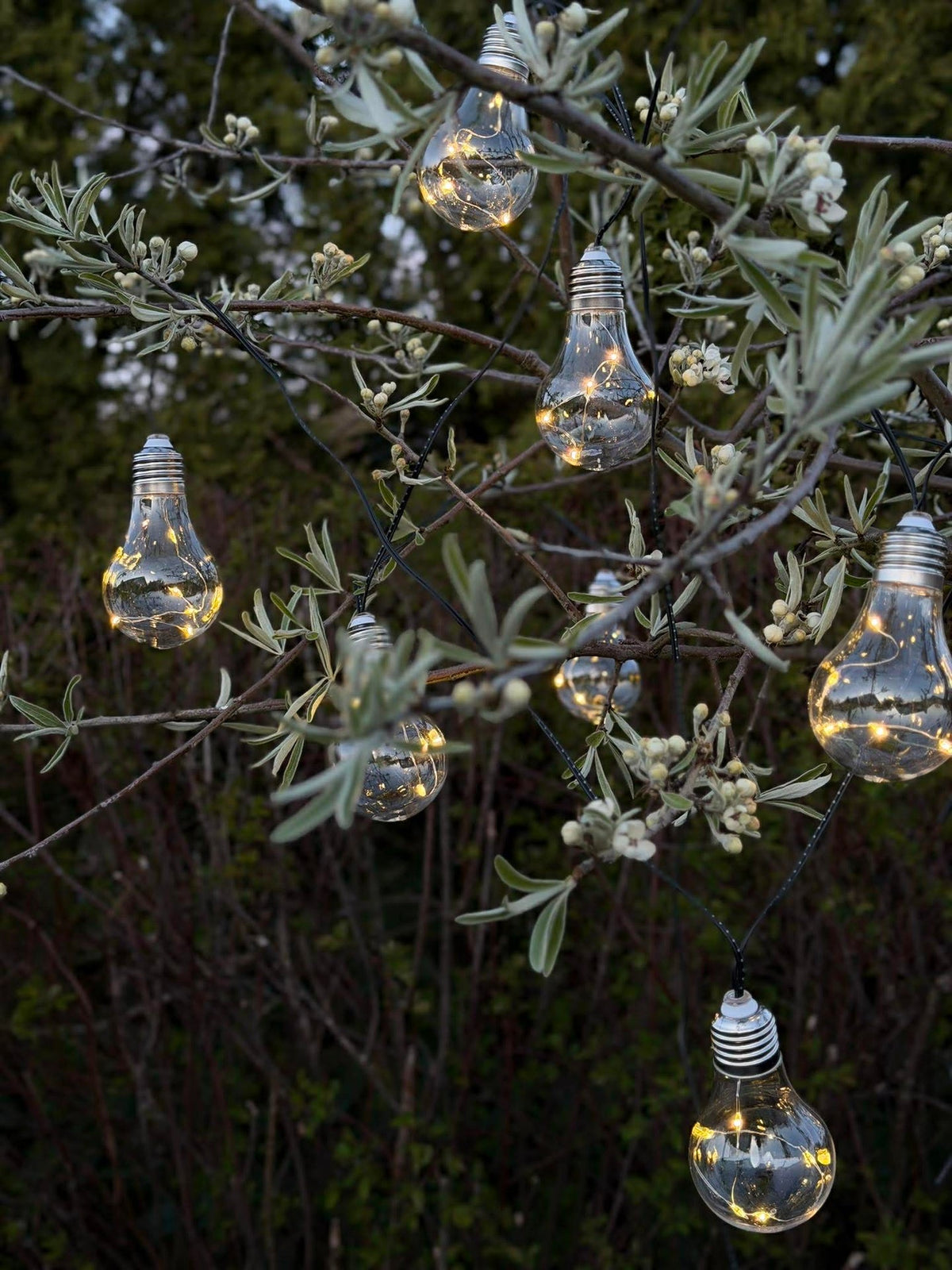 Guirlande lumineuse pour intérieur et extérieur
