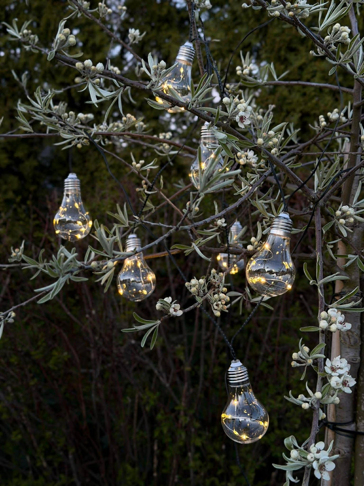 Guirlande lumineuse pour intérieur et extérieur