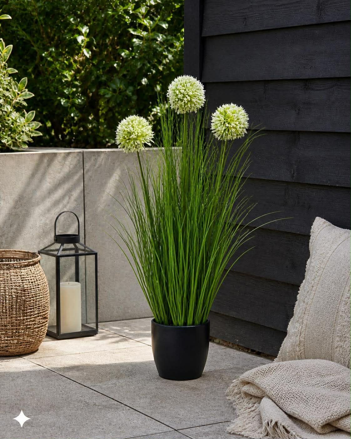 Herbe et fleurs d’allium en pot