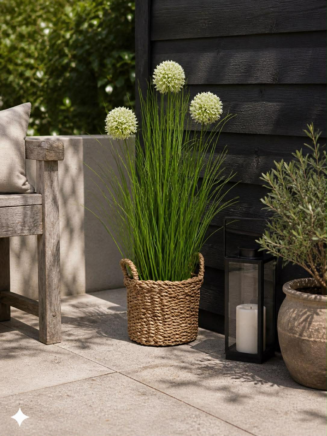 Herbe et fleurs d’allium en pot
