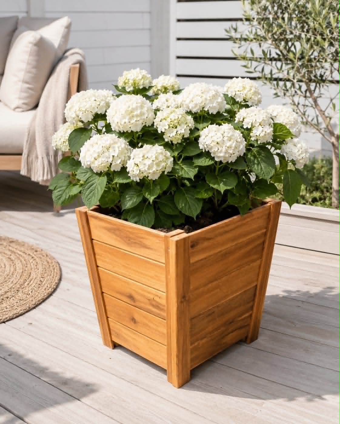 Jardinière en acacia