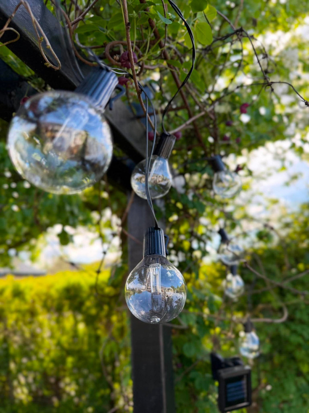 Guirlande lumineuse Sasline à énergie solaire