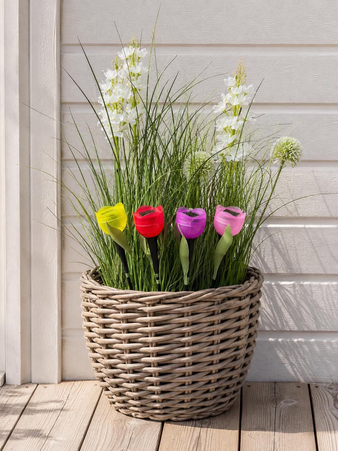 Tulipan Solar - Plusieurs couleurs