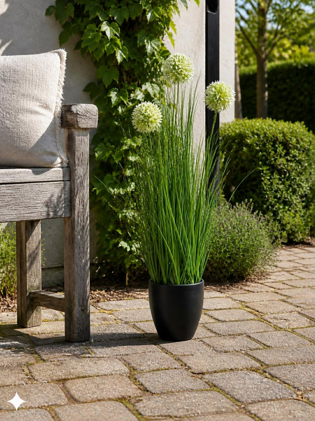 Herbe et fleurs d’allium en pot