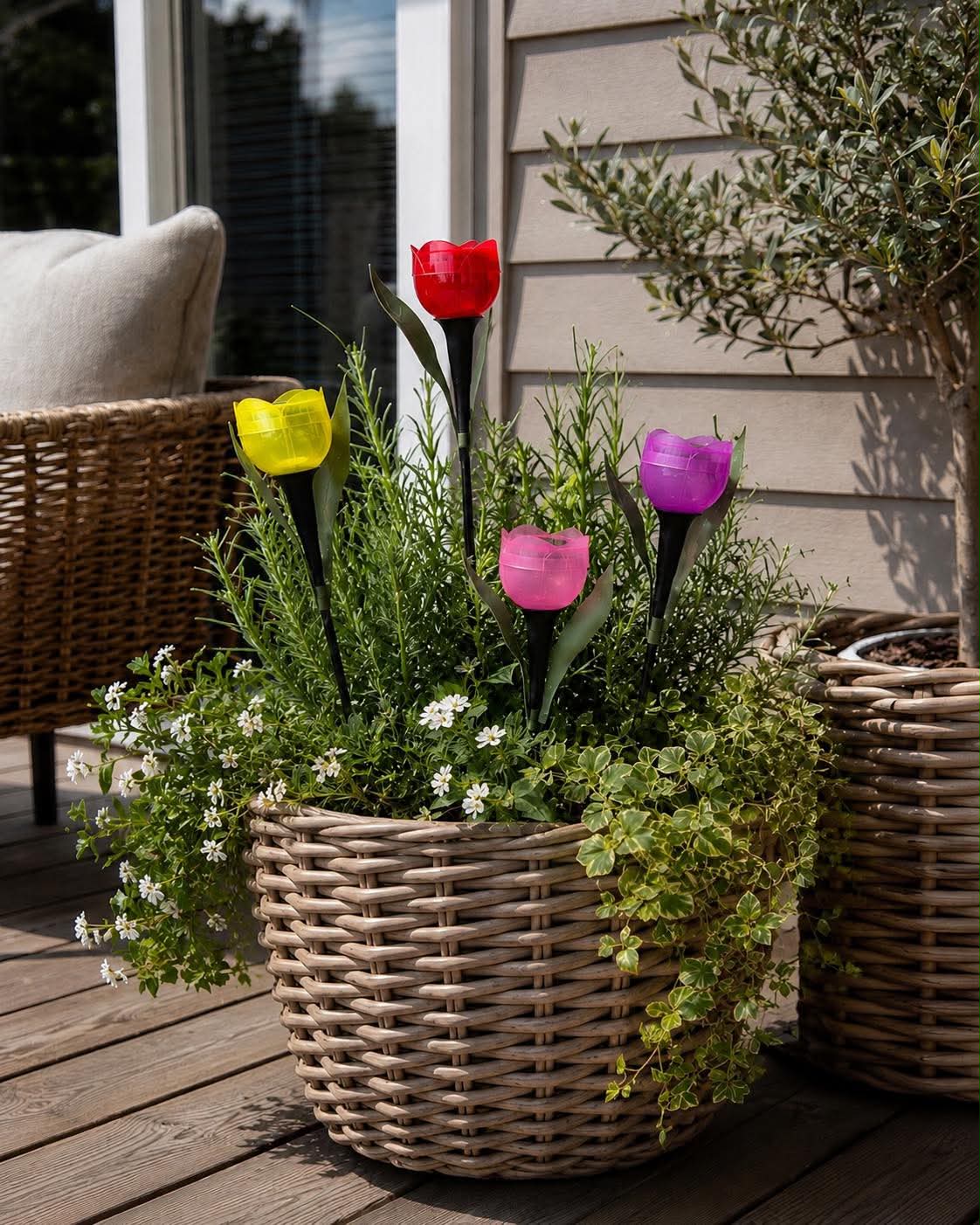Tulipan Solar - Plusieurs couleurs