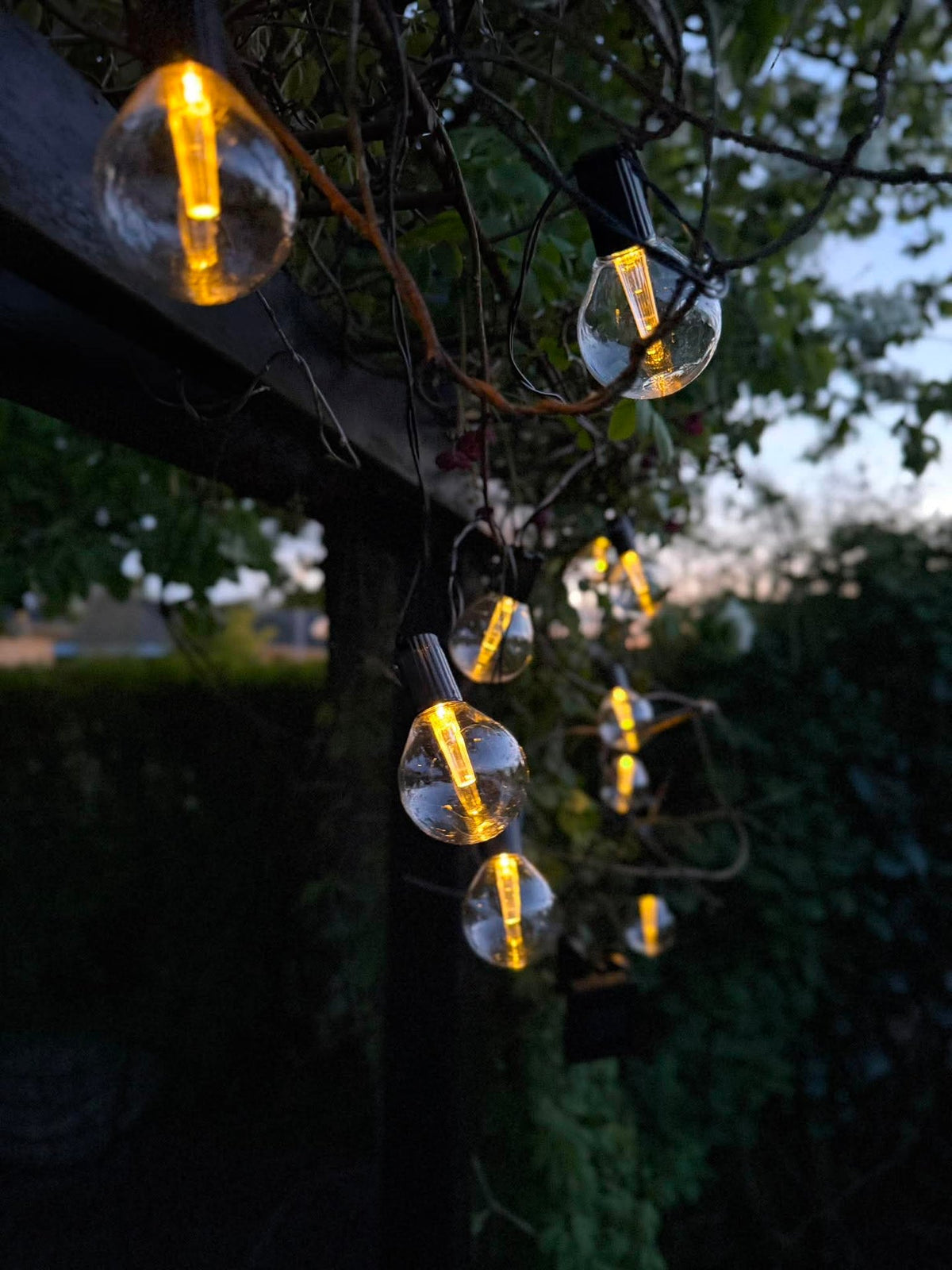 Guirlande lumineuse Sasline à énergie solaire