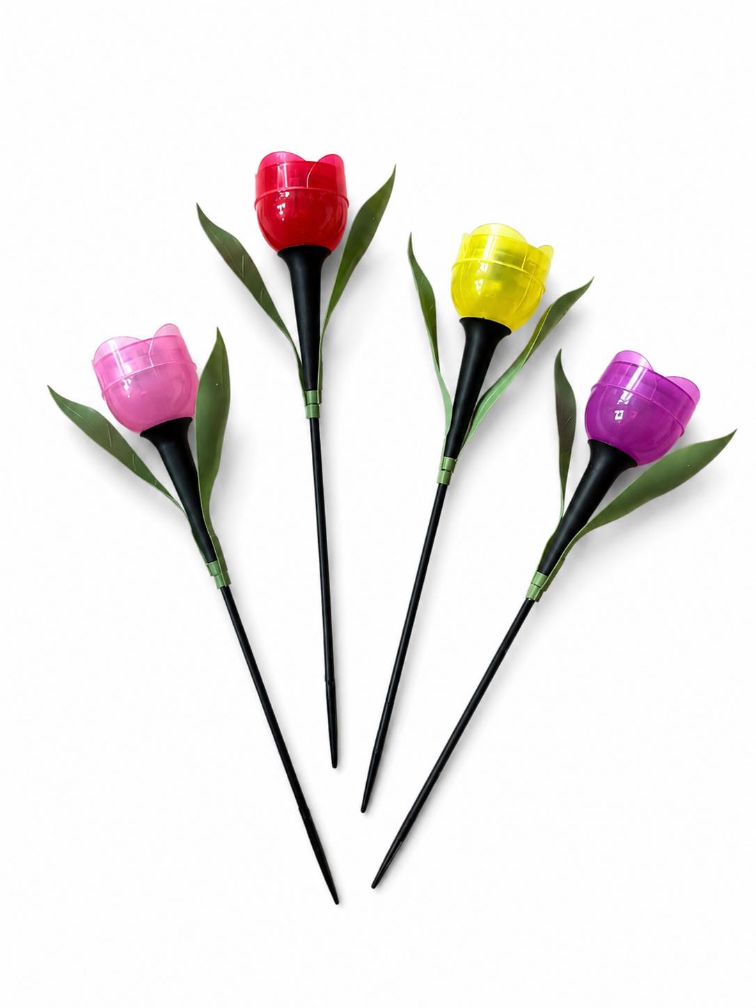 Tulipan Solar - Plusieurs couleurs