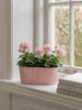 Pot allongé effet béton - Rose