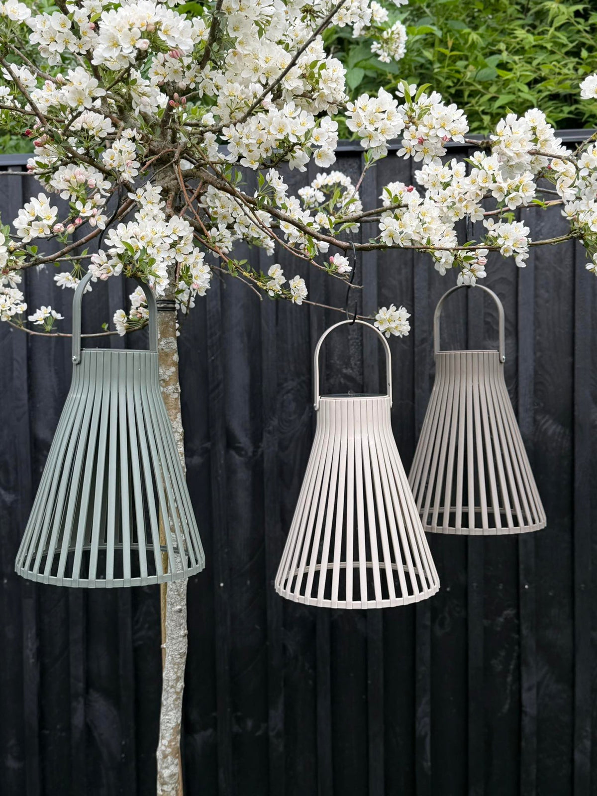 Lanterne Emily solar 24 cm - Plusieurs couleurs