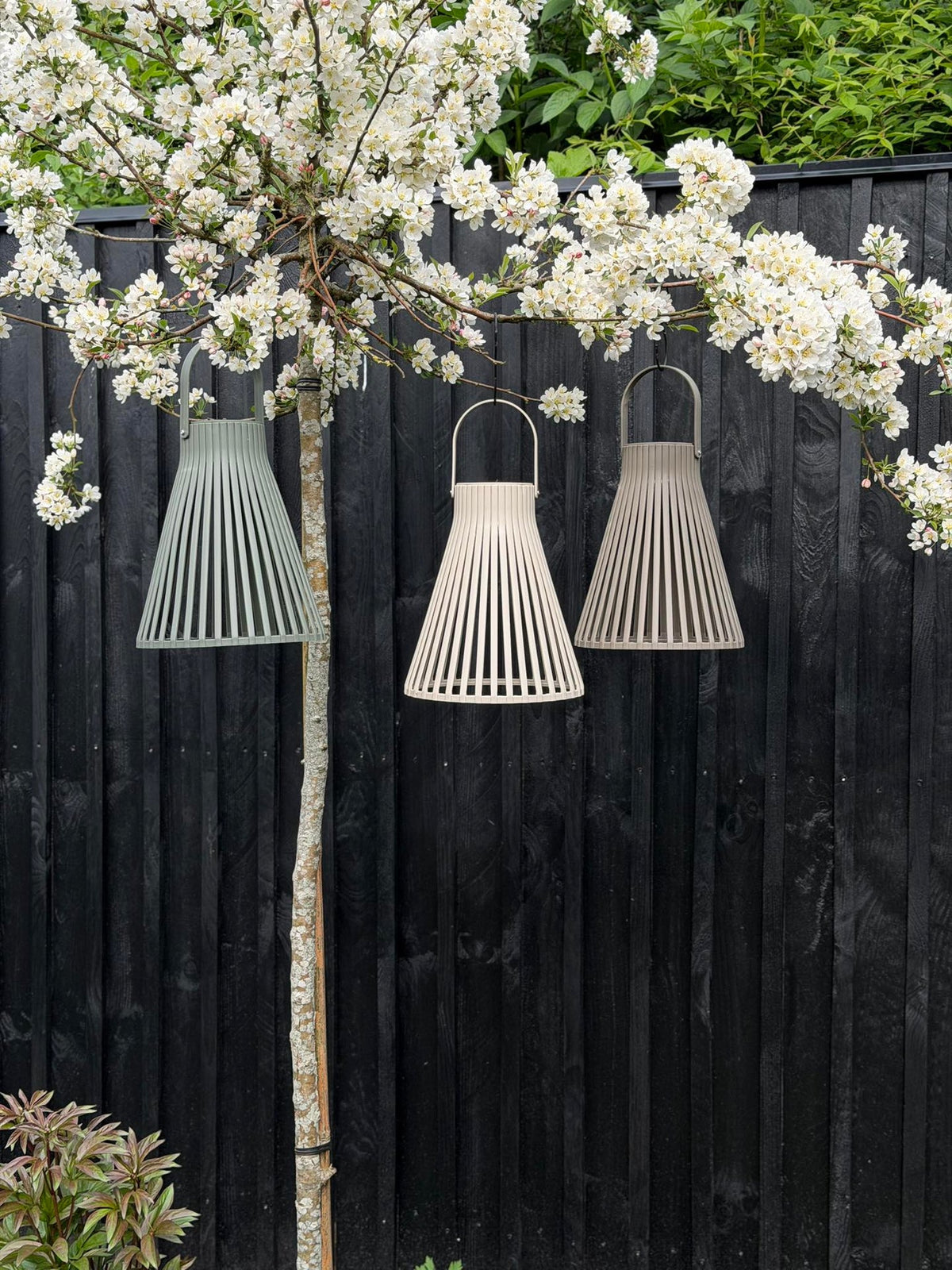 Lanterne Emily solar 24 cm - Plusieurs couleurs