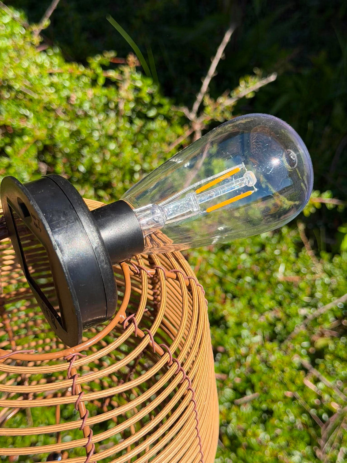 Lanterne sur pique 79 cm - Plusieurs couleurs