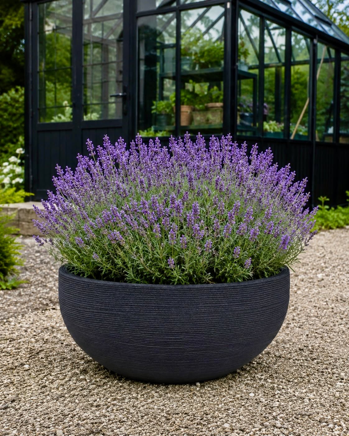 Bassine miroir black garden