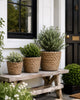 Corbeilles à plantes - Lot de 3 pcs.