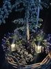Lampe de jardin MIRA à énergie solaire – Lot de 2 pièces