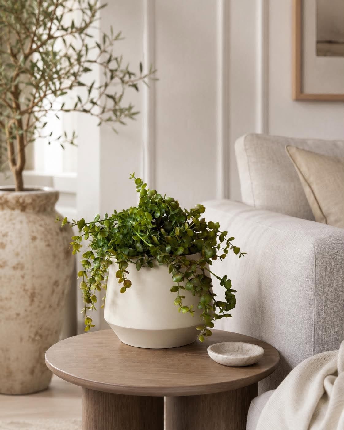 Plante retombante sur tige