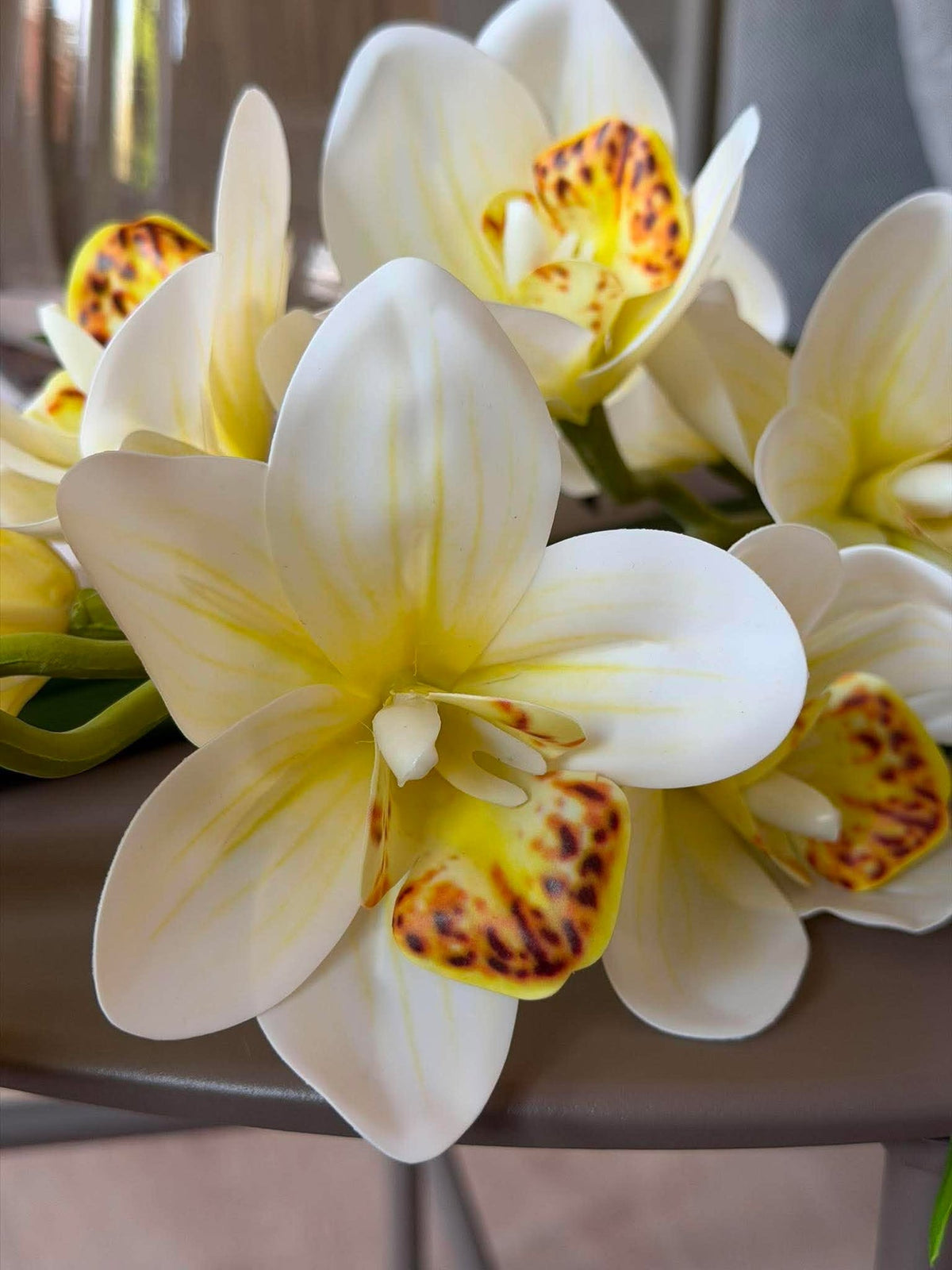 Tige d’orchidée - 78 cm blanc / jaune