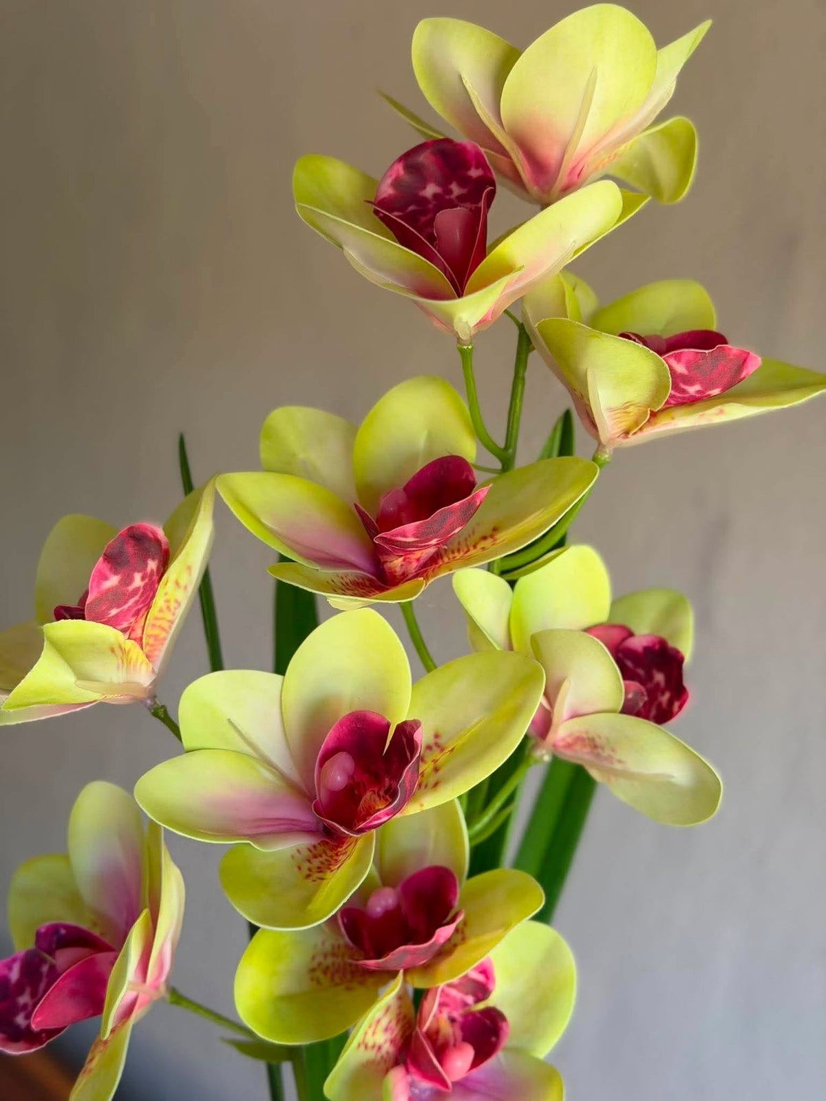 Tige d’orchidée - 43 cm Rose / jaune