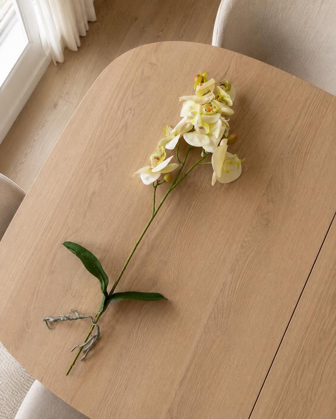 Tige d’orchidée - 41 cm - Blanc