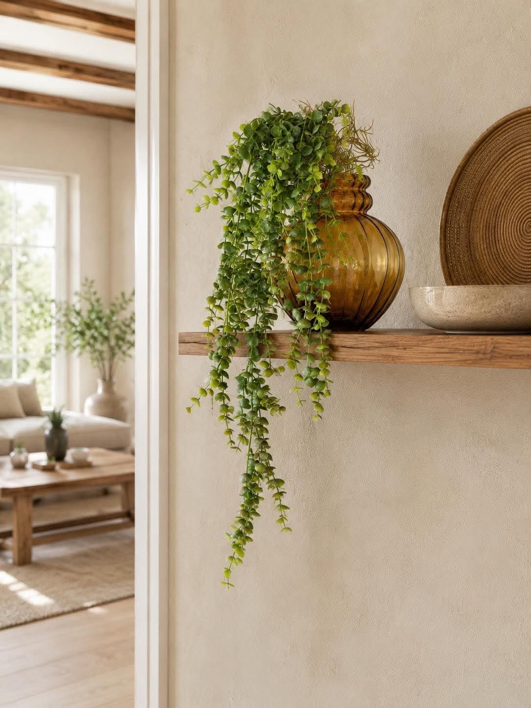 Plante retombante sur tige