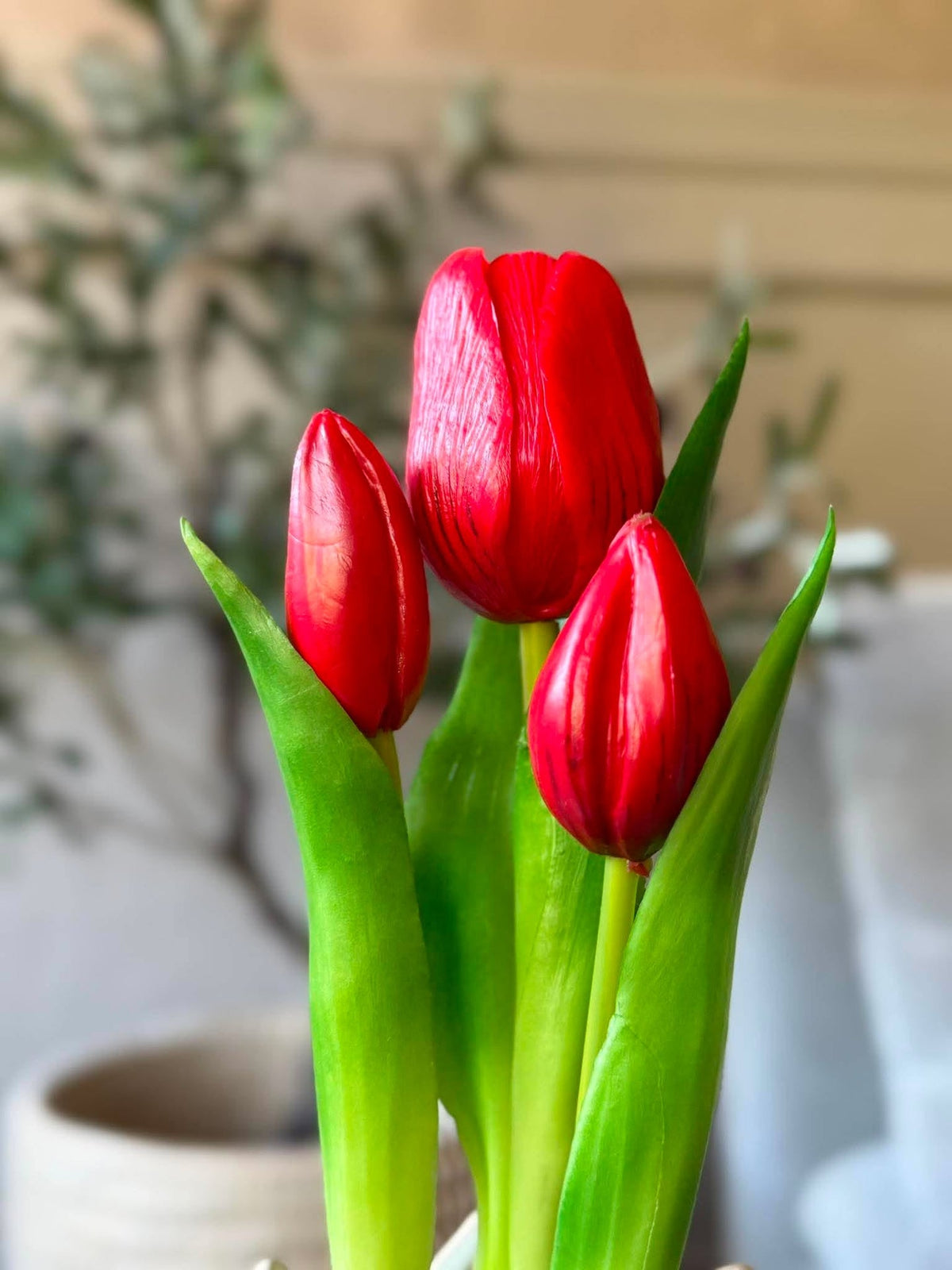 Tulipe en pot - Rouge avec 3 fleurs