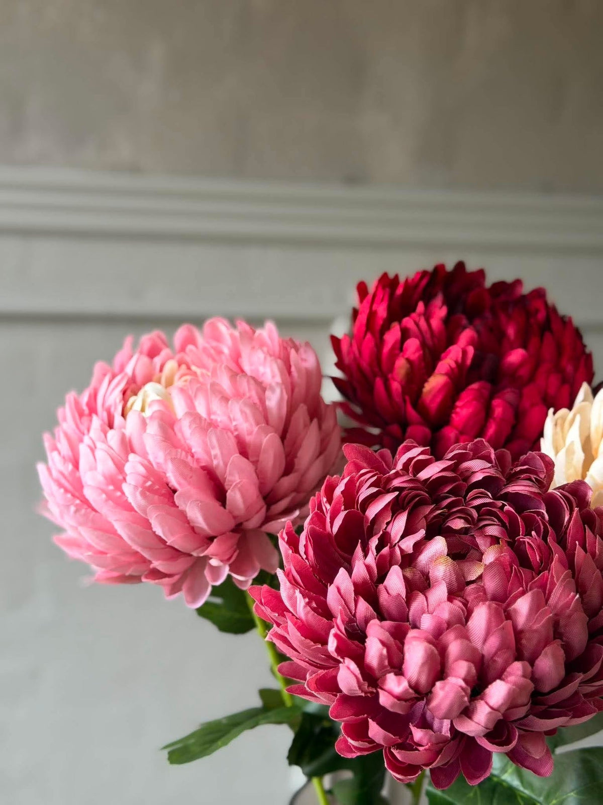 Chrysanthème - Color mix