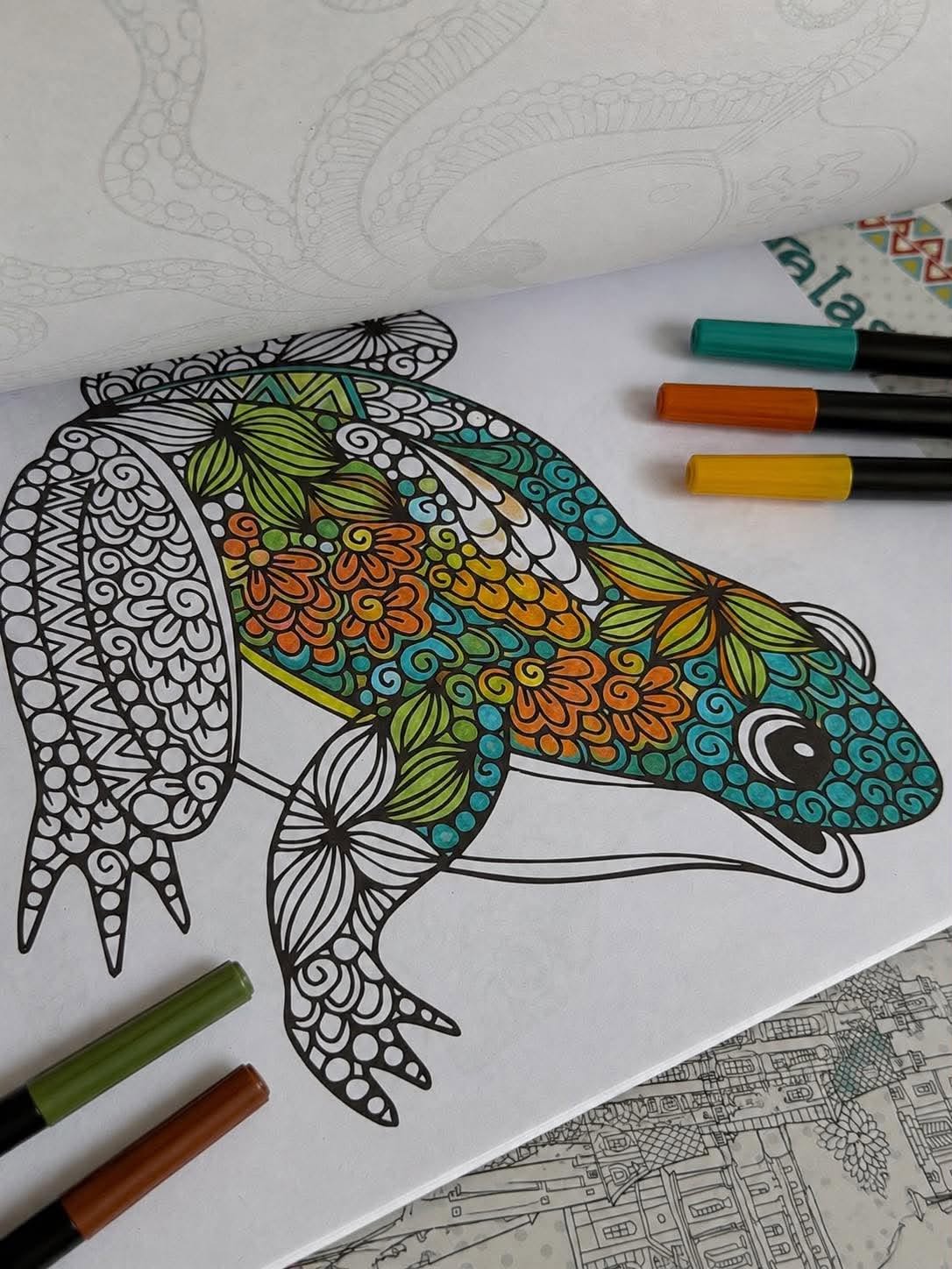 Livre de coloriage pour adultes - MIX