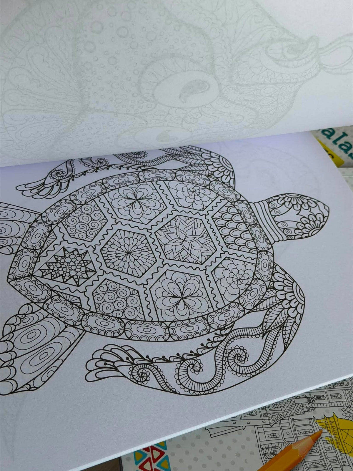 Livre de coloriage pour adultes - MIX