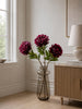 Tige de pivoine 72 cm - Bordeaux