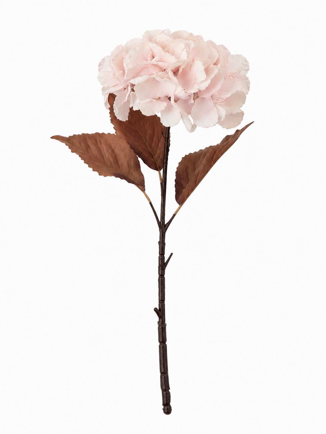 Hortensia 49 cm - Poudre