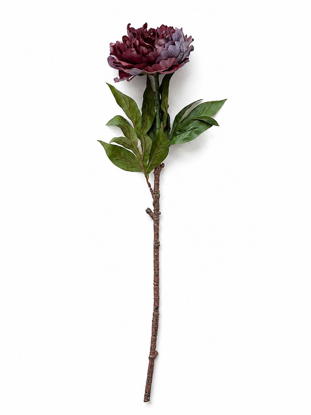 Pivoine 72 cm - Violet