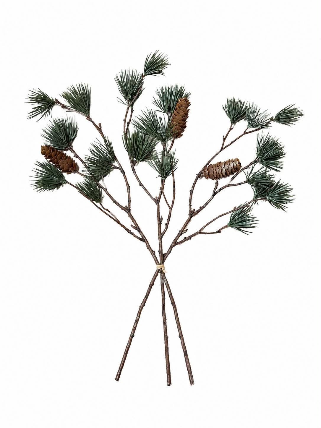 Branches d’hiver avec pommes de pin