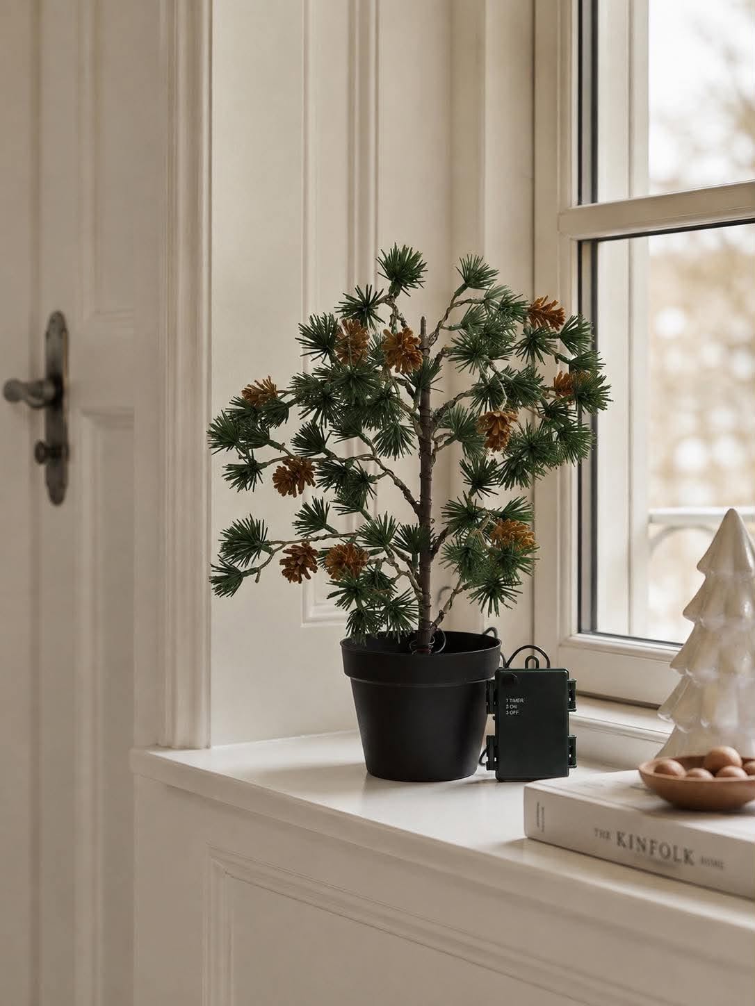 Sapin de cèdre avec guirlande lumineuse - Homologué pour l’extérieur
