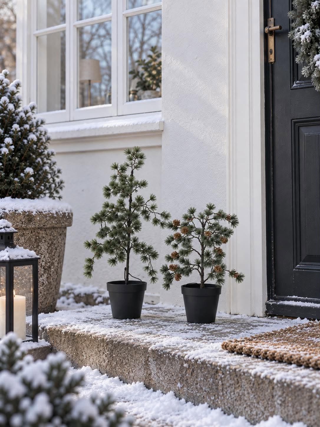 Sapin de cèdre avec guirlande lumineuse - Homologué pour l’extérieur