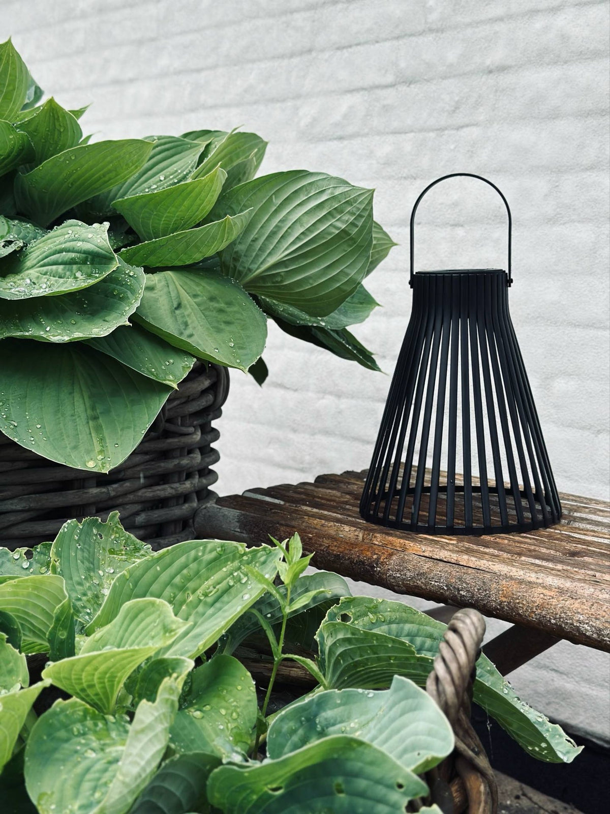 Lanterne solaire - GARDEN BLACK 24cm