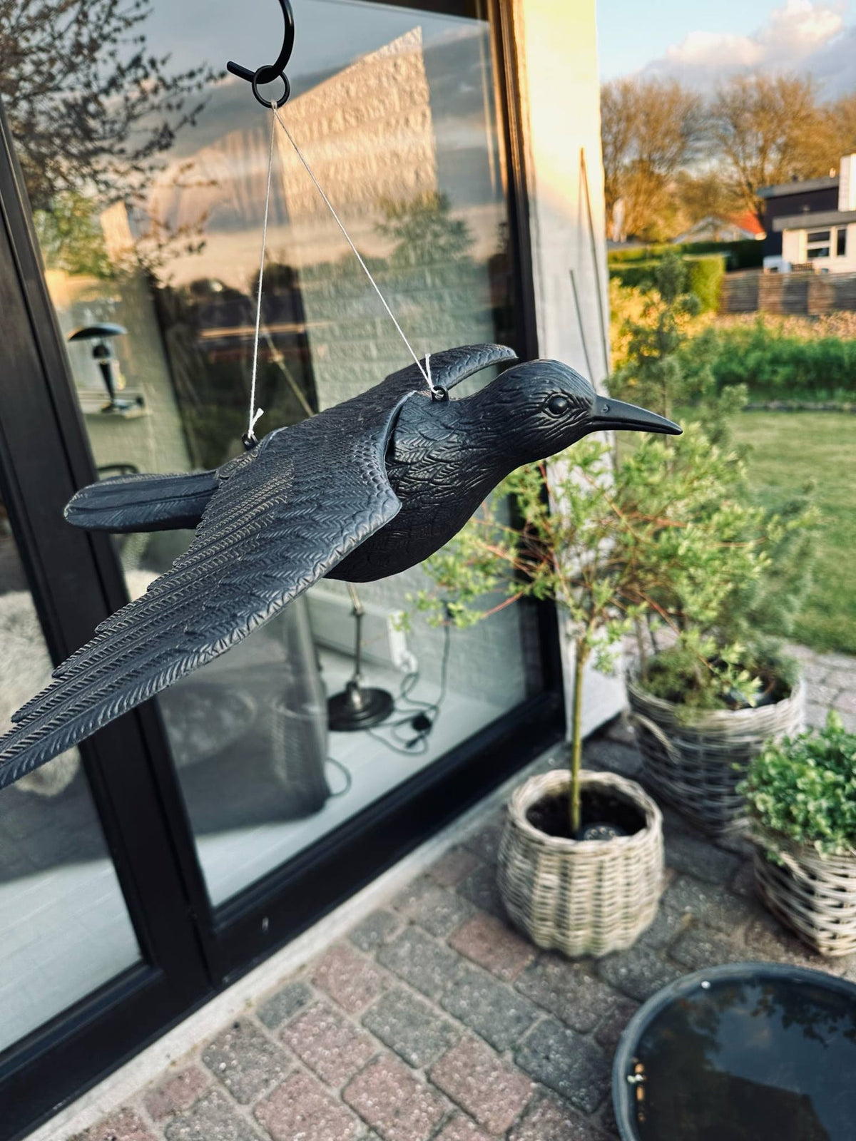 Oiseau - RAVEN BLACK