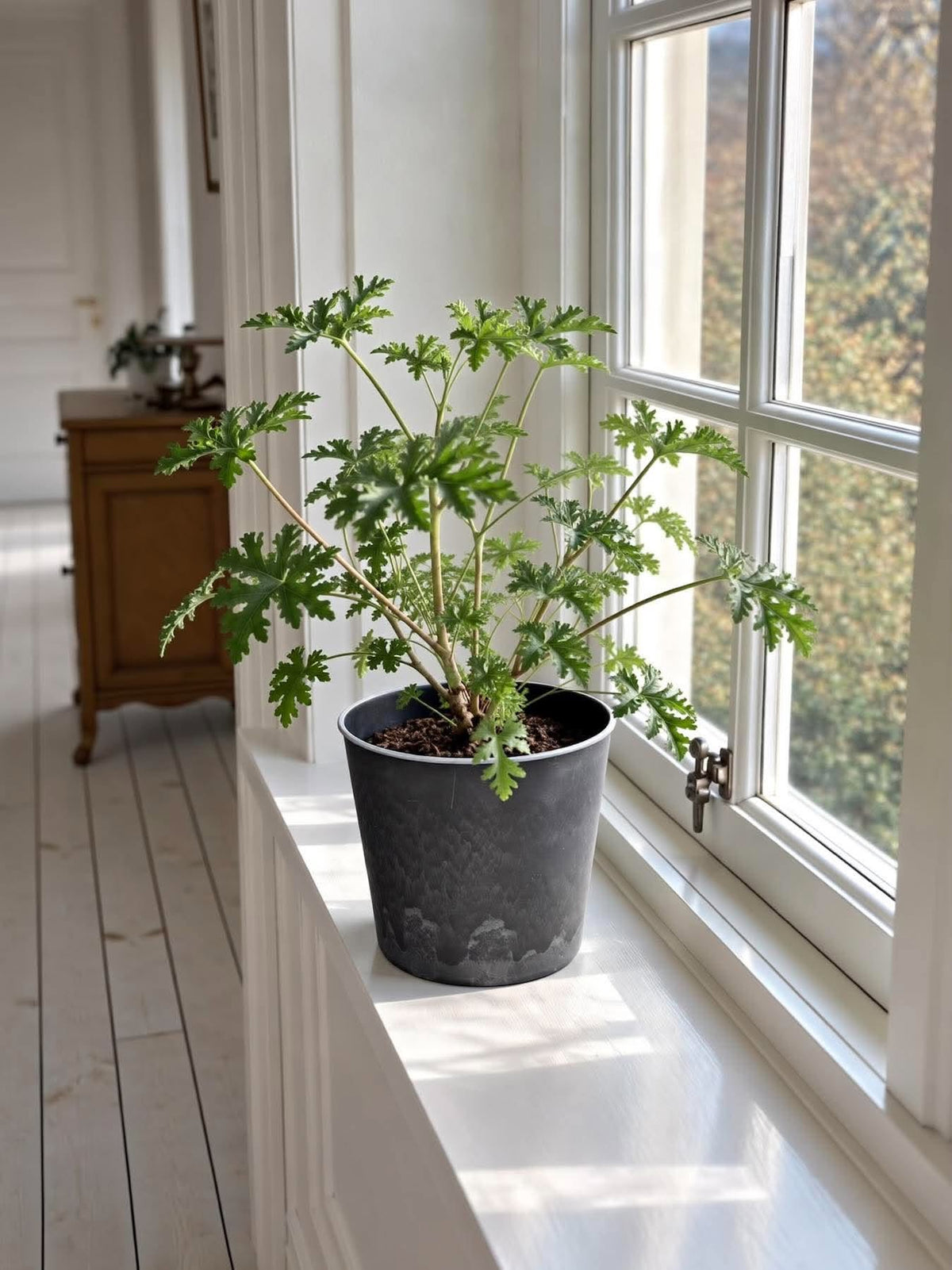 Pot aspect béton – Grand