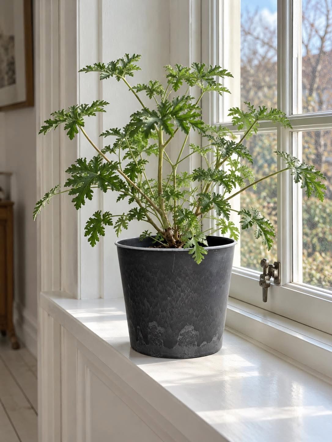 Pot aspect béton – Grand